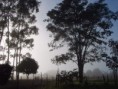 /album/galeria-de-fotos-pagina-inicial/nevoeiro-na-chacara-jpg/